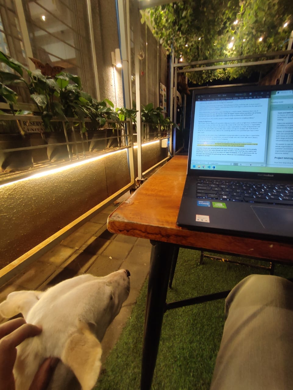From giving up on coding to shipping production apps with FastHTML and MonsterUI